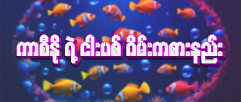 colorful fishes are in the ocean